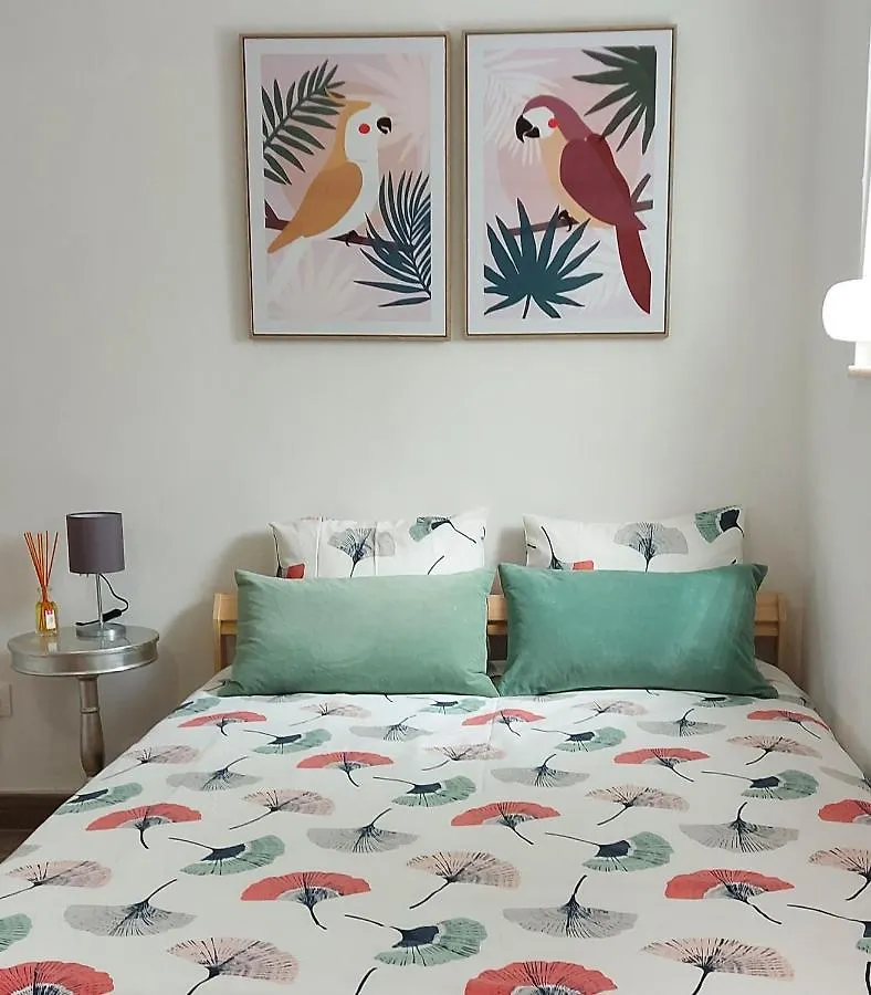 Cozy Studio In Central Lisboa 0*,