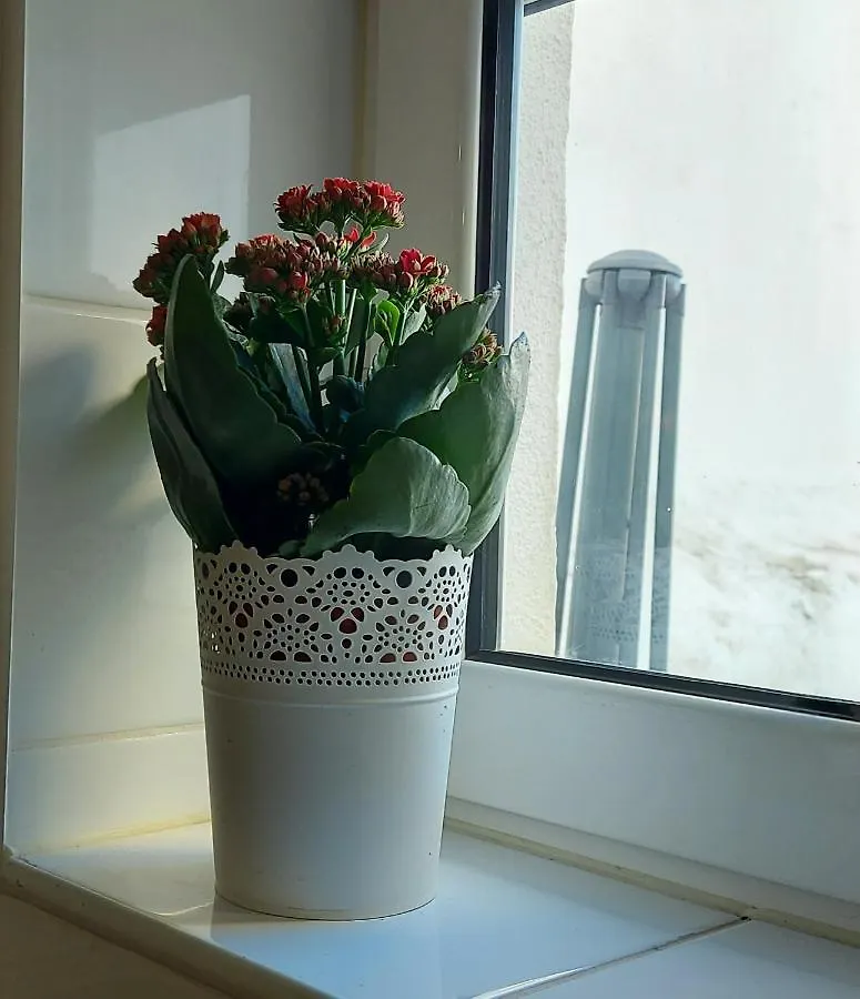 Cozy Studio In Central Lisboa Apartmán